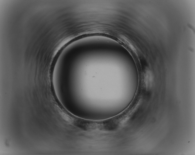 X0000092050789200709121211