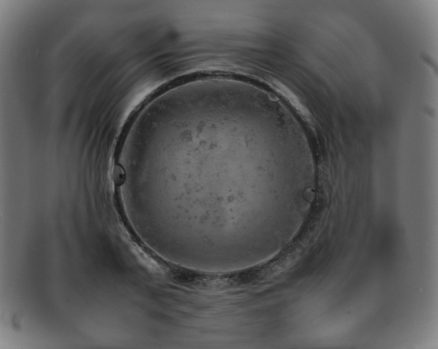 X0000092050791200709121211