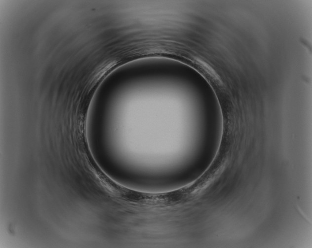 X0000092050793200709121211