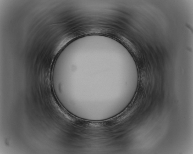 X0000092050794200709121211