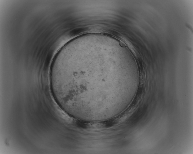 X0000092050795200709121211