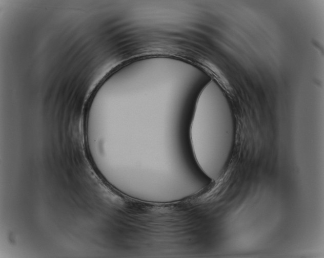 X0000092050796200709121211