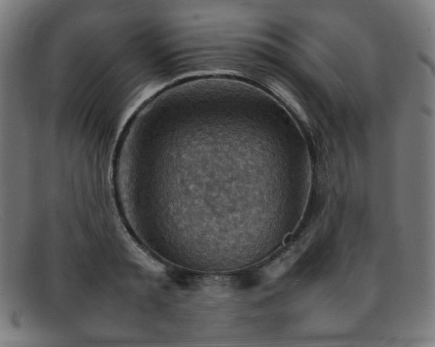 X0000092050797200709121211