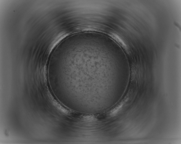 X0000092050798200709121211