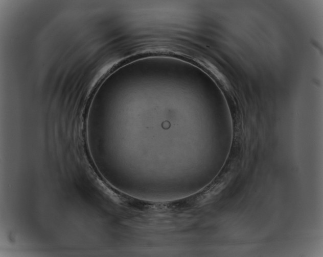 X0000092050799200709121211