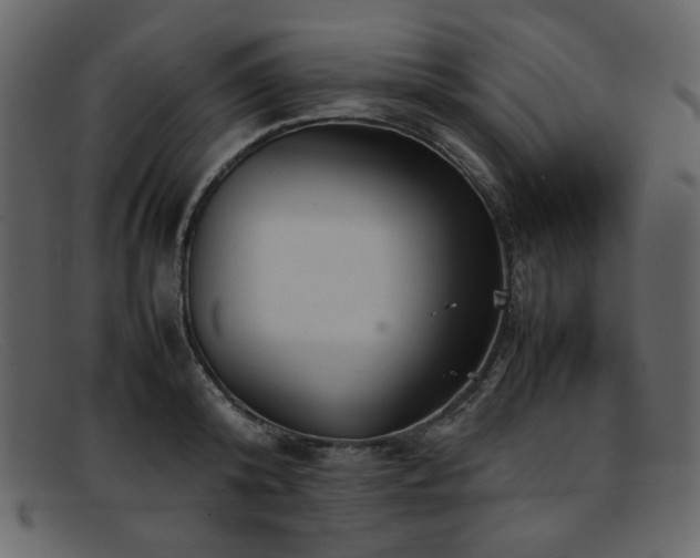 X0000092050800200709121211