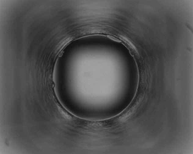 X0000092050801200709121211