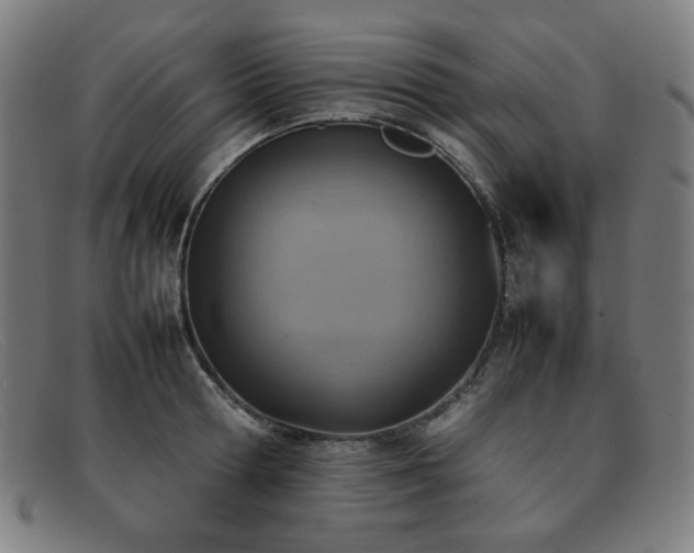 X0000092050802200709121211