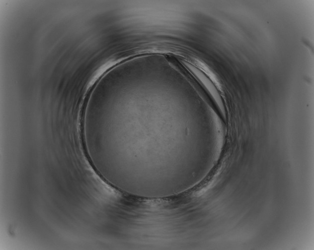 X0000092050803200709121211