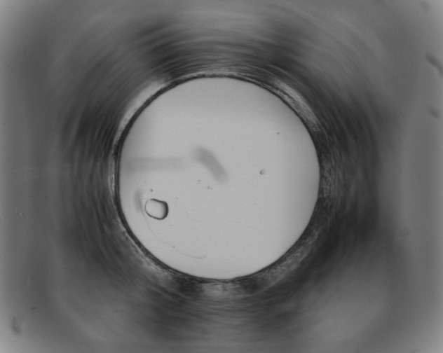 X0000092050804200709121211