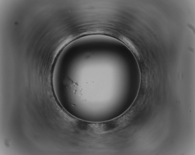 X0000092050805200709121211