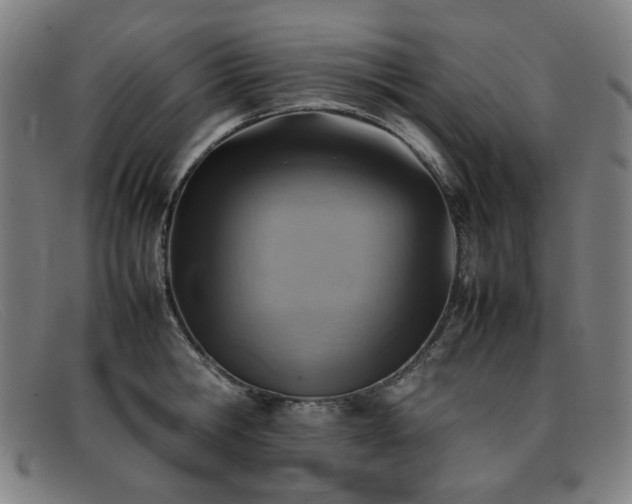 X0000092050806200709121211