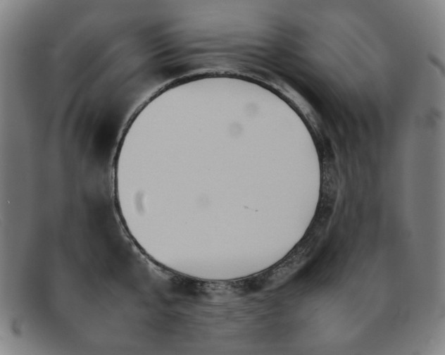 X0000092050807200709121211