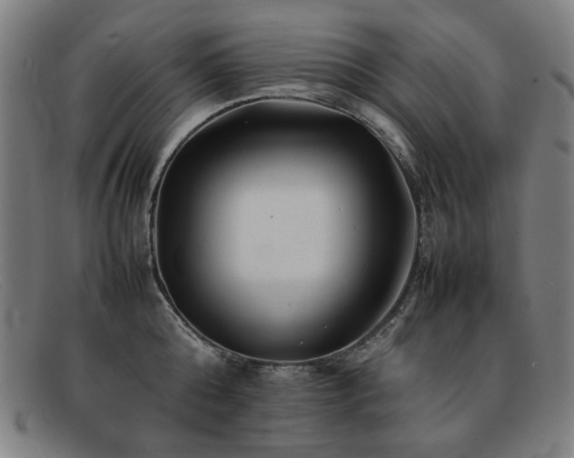 X0000092050808200709121211