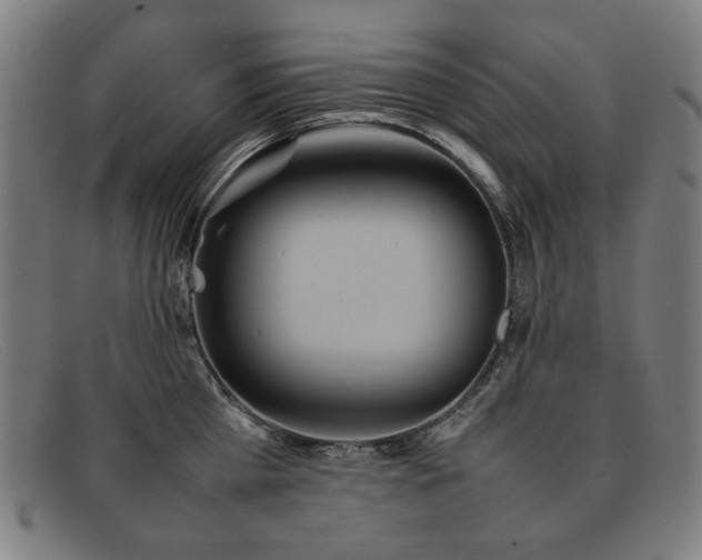 X0000092050809200709121211