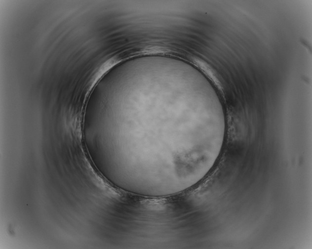 X0000092050810200709121211