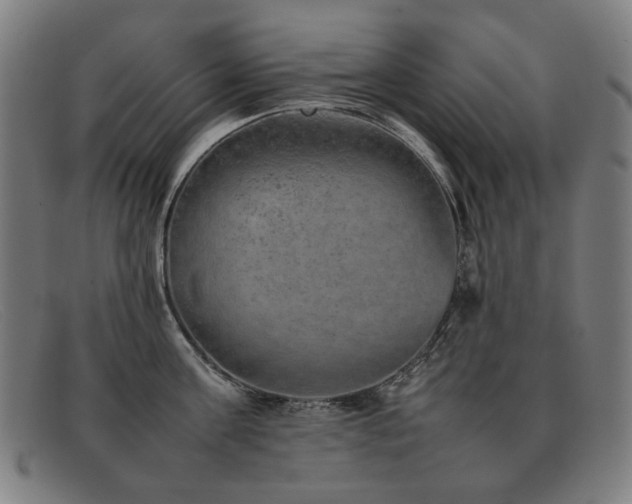 X0000092050811200709121211