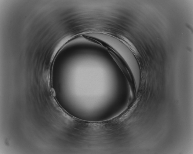 X0000092050812200709121211