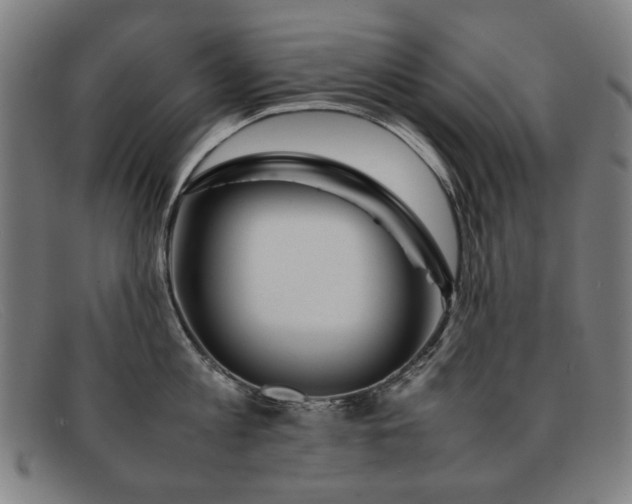 X0000092050813200709121211