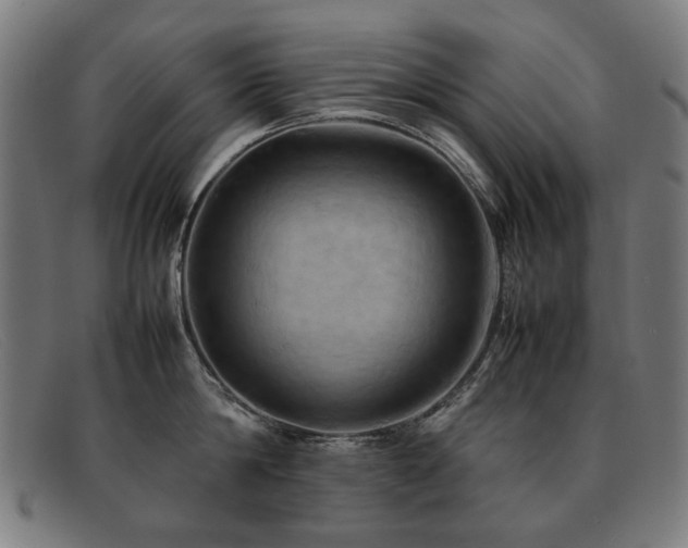 X0000092050814200709121211