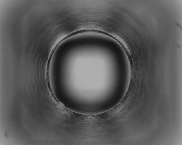 X0000092050815200709121211