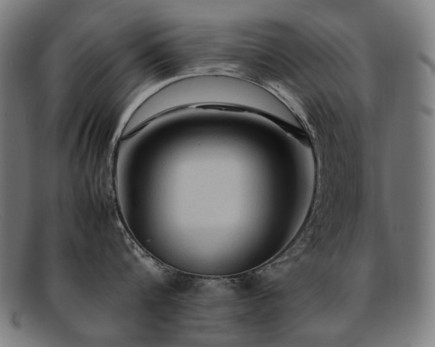 X0000092050816200709121211