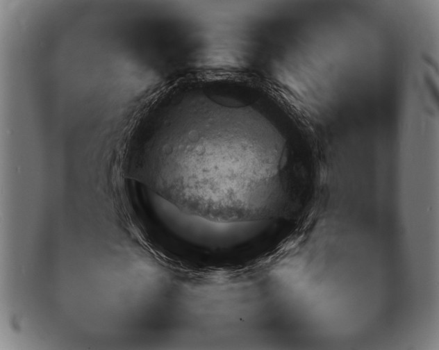 X0000092050817200709121211