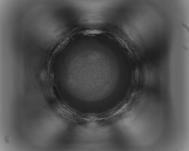 X0000092050818200709121211