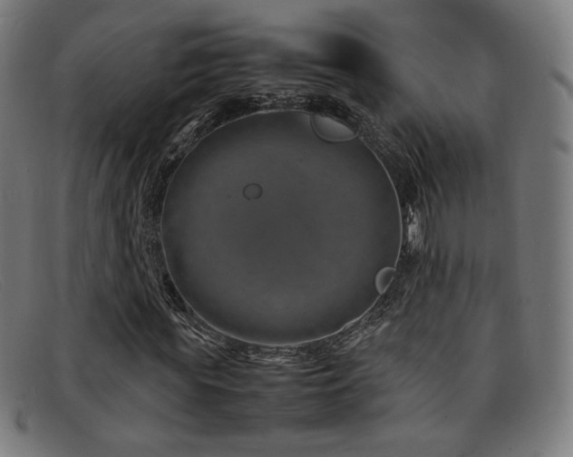 X0000092050819200709121211