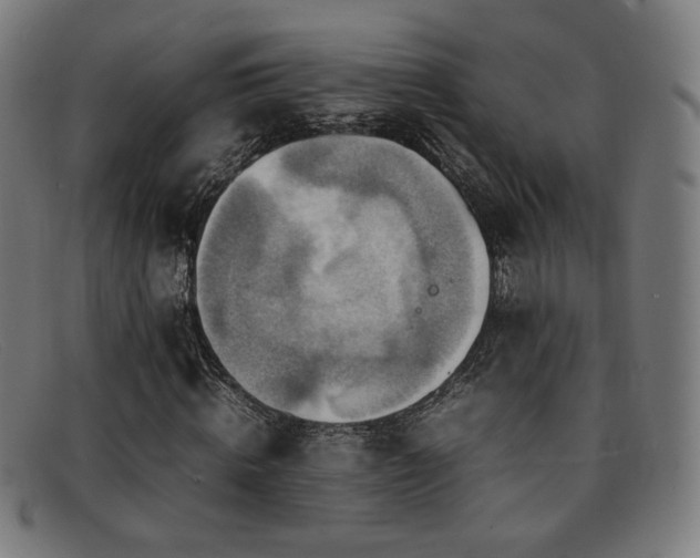 X0000092050820200709121211