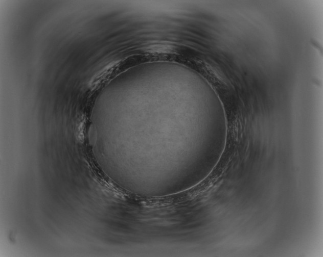 X0000092050821200709121211