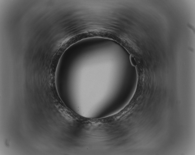 X0000092050822200709121211