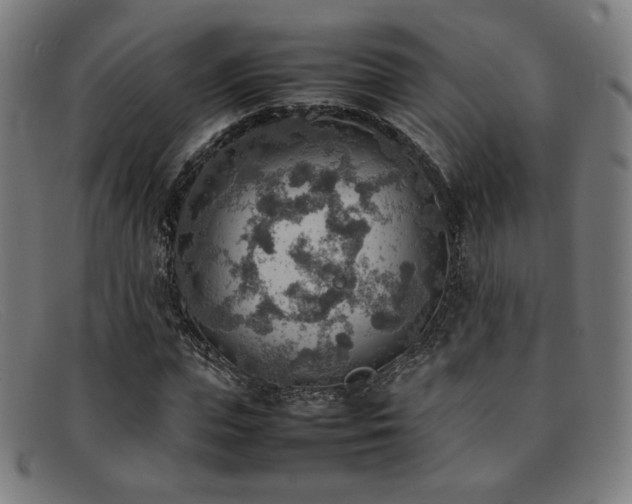 X0000092050823200709121211