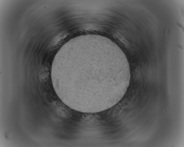 X0000092050824200709121211