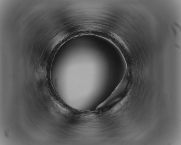 X0000092050826200709121211