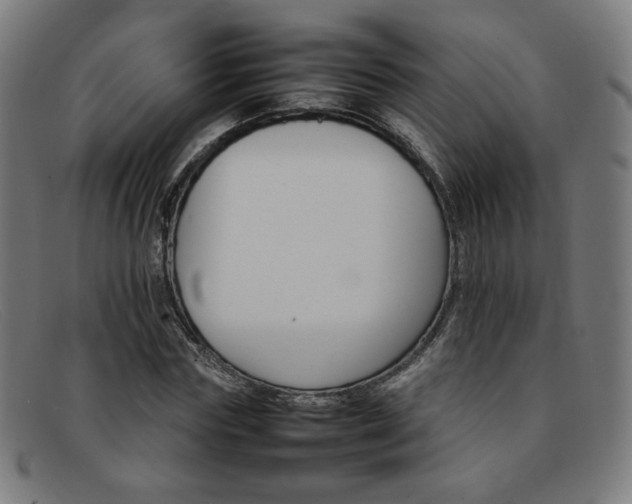 X0000092050827200709121211