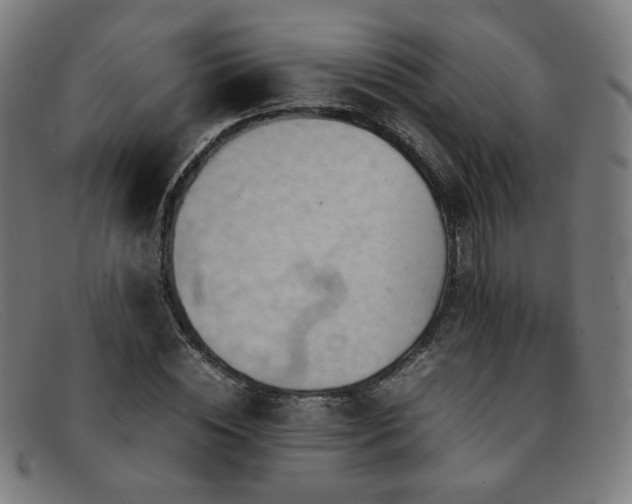 X0000092050828200709121211