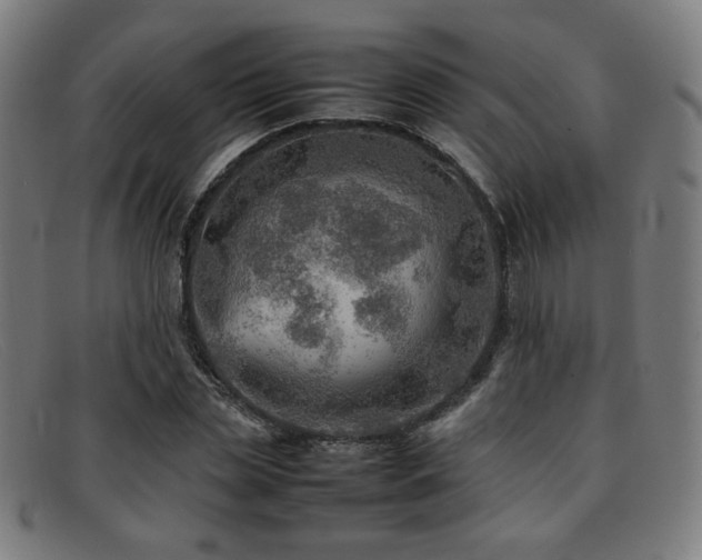 X0000092050829200709121211