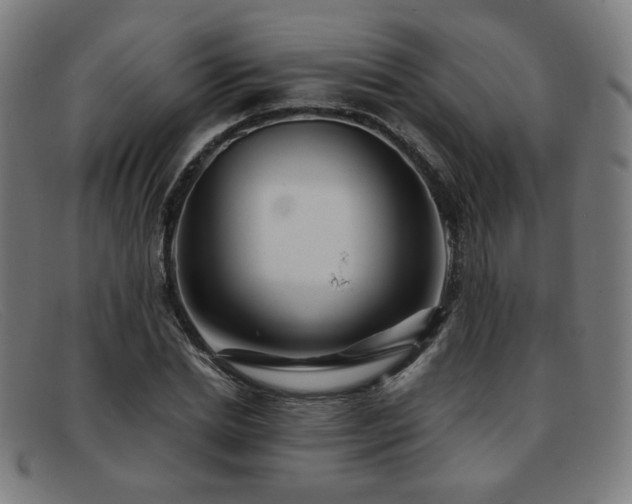 X0000092050830200709121211