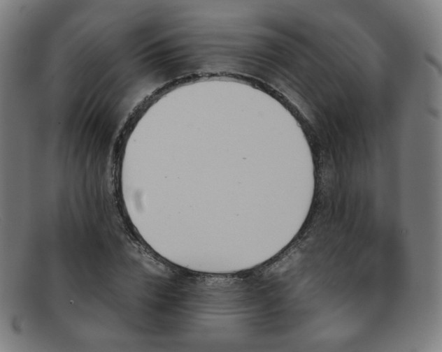 X0000092050832200709121211