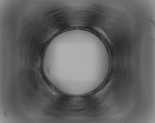 X0000092050833200709121211