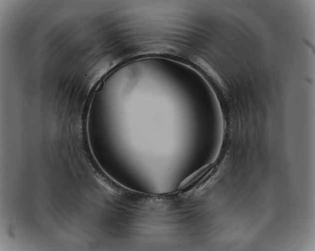 X0000092050834200709121211