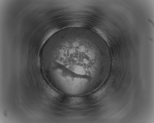 X0000092050835200709121211