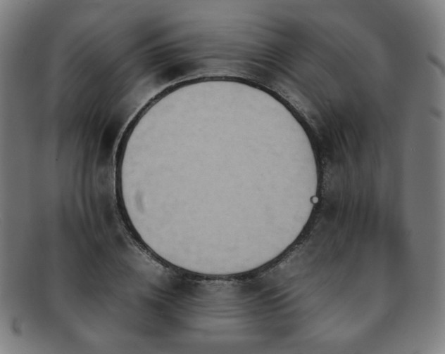 X0000092050836200709121211