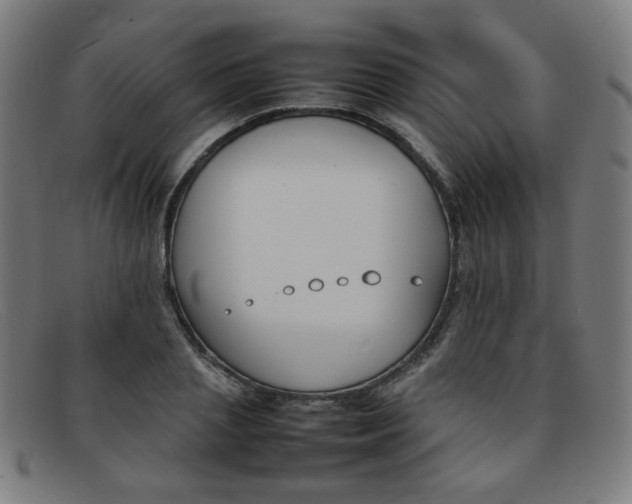 X0000092050837200709121211