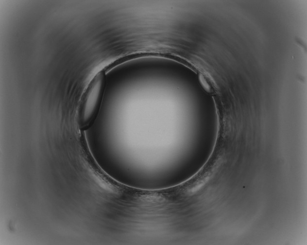 X0000092050838200709121211