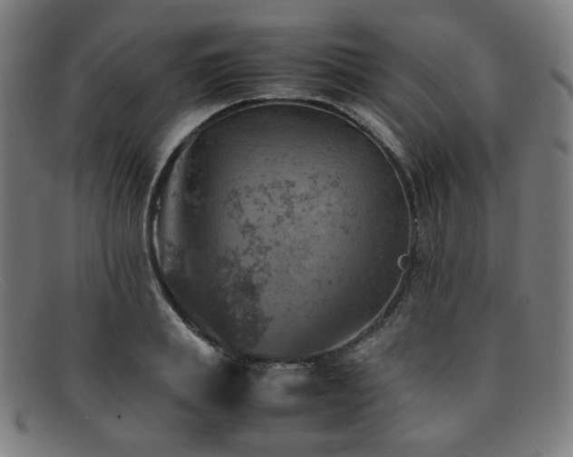 X0000092050839200709121211