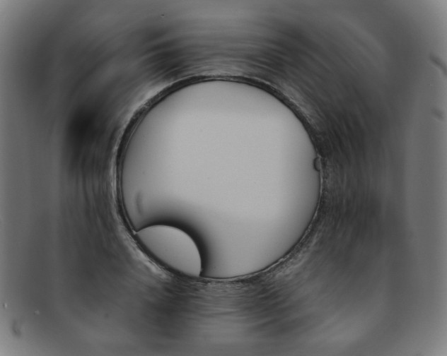 X0000092050840200709121211