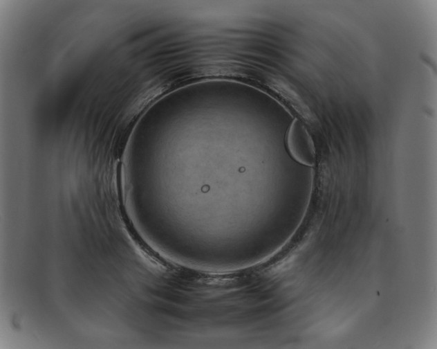 X0000092050841200709121211