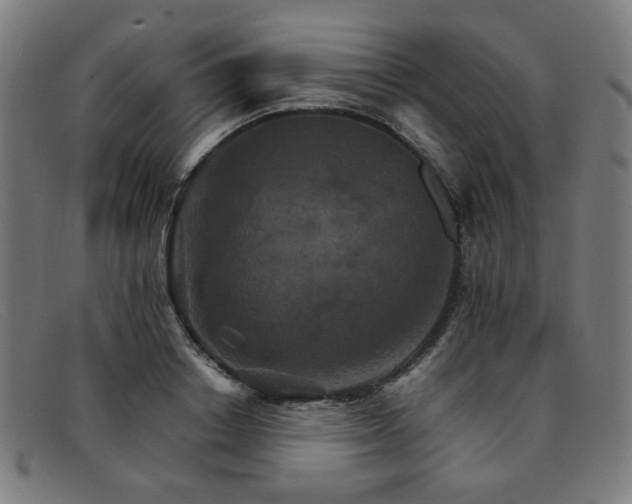 X0000092050842200709121211